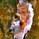 Illustration for article titled What Do Extreme Ecosystems Tell Us About The Nature Of Life?